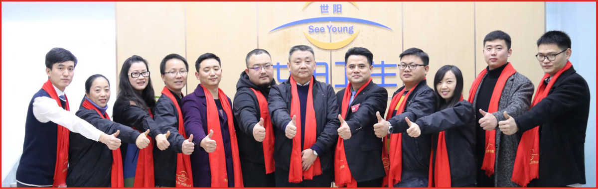 四川世陽衛(wèi)生技術(shù)服務有限公司《股權(quán)咨詢》項目案例